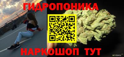 ECSTASY Боровичи