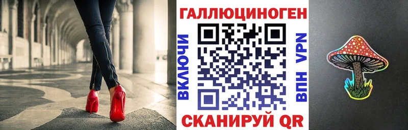 МЕГА   Моршанск  Псилоцибиновые грибы Psilocybine cubensis 