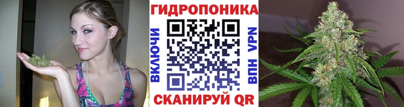 Канабис Amnesia  Моршанск 